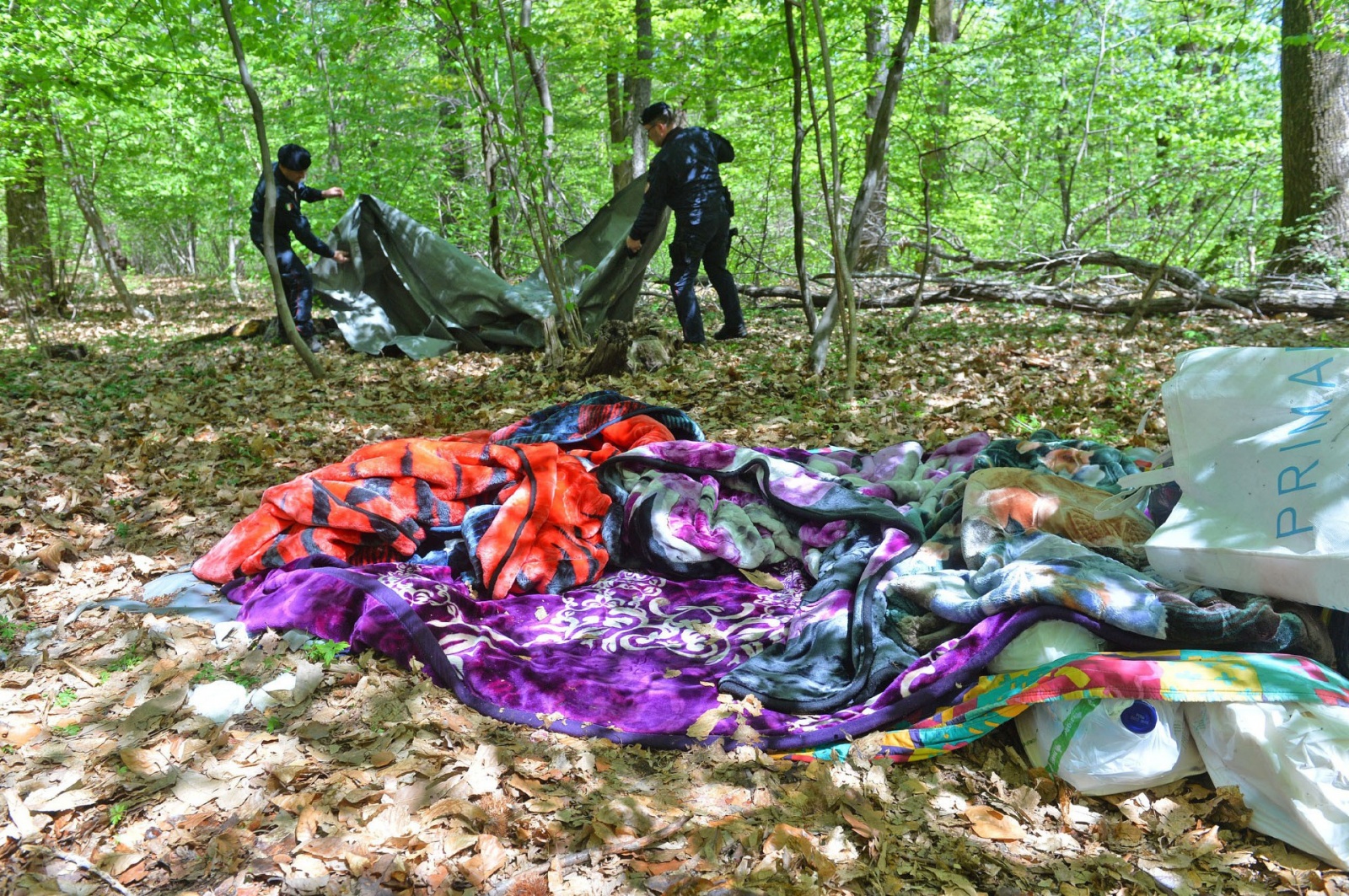 VALGANNA SAN GEMOLO OPERAZIONE ANTIBIVACCHI SPACCIATORI NEI BOSCHI, CARABINIERI COMPAGNIA LUINO, STAZIONE CUVIO E FORESTALI CUNARDO COORDINATI DAL CAPITANO ALESSANDRO VOLPINI, LUOGOTENENTE CARIOLA, MARESCIALLO CAPO SALVADORI E MARESCIALLO DI NISIO