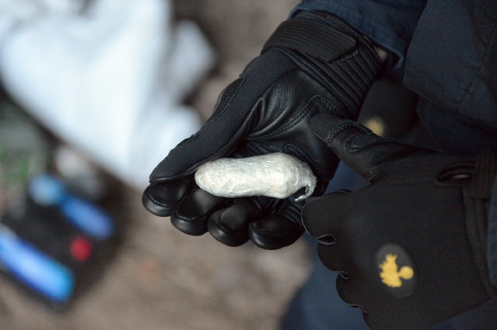 VALGANNA SAN GEMOLO OPERAZIONE ANTIBIVACCHI SPACCIATORI NEI BOSCHI, CARABINIERI COMPAGNIA LUINO, STAZIONE CUVIO E FORESTALI CUNARDO COORDINATI DAL CAPITANO ALESSANDRO VOLPINI, LUOGOTENENTE CARIOLA, MARESCIALLO CAPO SALVADORI E MARESCIALLO DI NISIO