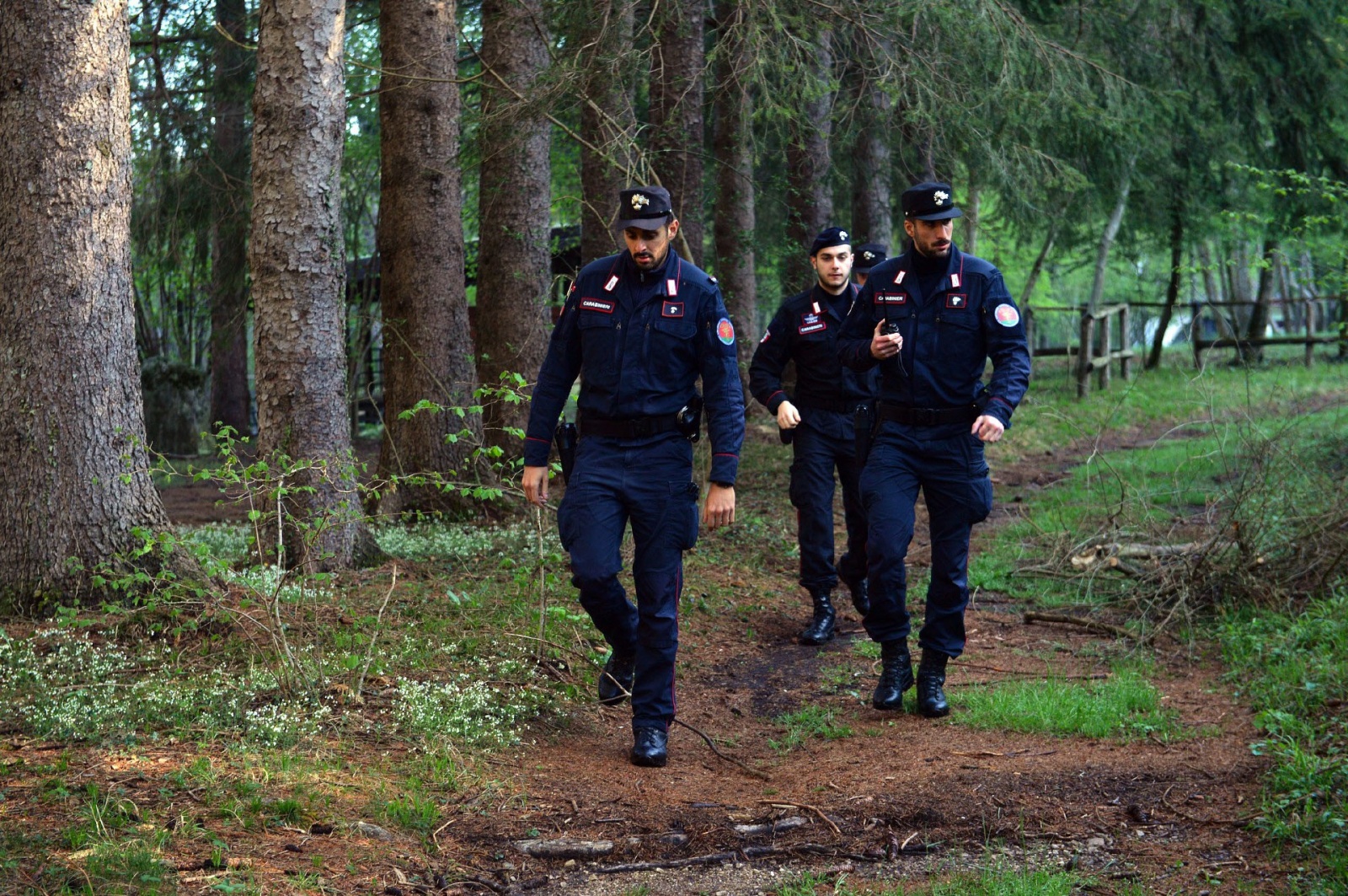 VALGANNA SAN GEMOLO OPERAZIONE ANTIBIVACCHI SPACCIATORI NEI BOSCHI, CARABINIERI COMPAGNIA LUINO, STAZIONE CUVIO E FORESTALI CUNARDO COORDINATI DAL CAPITANO ALESSANDRO VOLPINI, LUOGOTENENTE CARIOLA, MARESCIALLO CAPO SALVADORI E MARESCIALLO DI NISIO