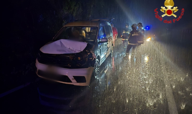 Piante cadono su auto in transito al confine di Zenna