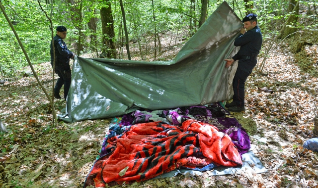 I carabinieri nei boschi della Valganna  (foto Archivio)