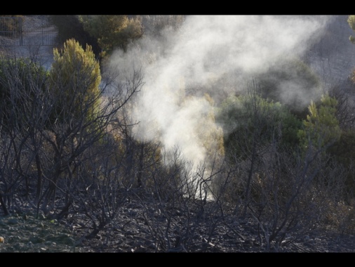 Travolto da albero durante incendio, muore dipendente Arif