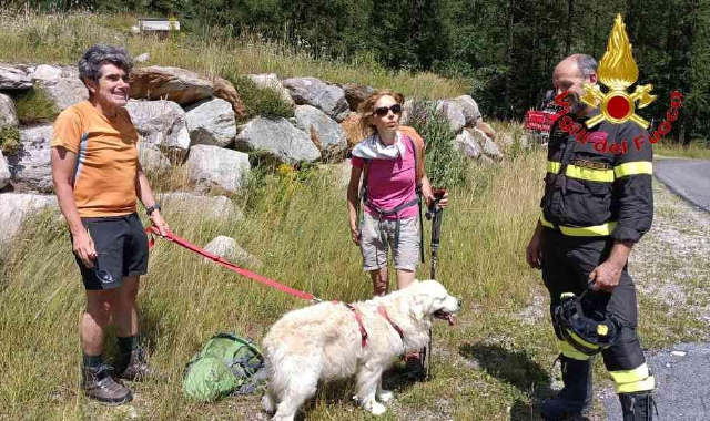 Precipita in montagna: cane salvato a Macugnaga