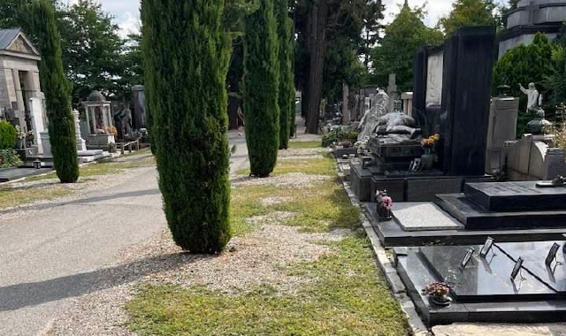 Una delle foto del cimitero di Busto Arsizio pubblicate su Facebook