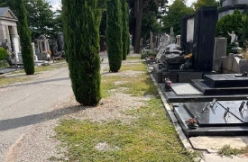 «Totale noncuranza»: polemica Arabini-Cislaghi sul cimitero