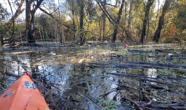 Rifiuti nel lago di Varese, “nessuno è intervenuto” | La Prealpina #adessonews