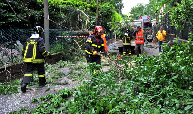 Vento e alberi caduti: super lavoro dei vigili del fuoco | La Prealpina #adessonews